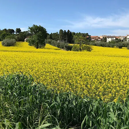 Apartment Casa Dolci Rodolfo 4km From The Sea Montemarciano